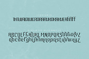 Rey Bon Modern Classic Font, a Sans Serif Font by AuthenType (Thumbnail 6 of 10)