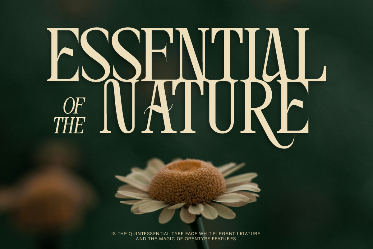 Ankora, a Serif Font by Burntilldead (Photo 4 of 13)