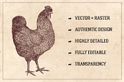 100 Vintage Farm Animals (Vector), an Animal Illustration by Brigantine Designs (Thumbnail 2 of 7)