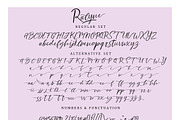 Ralyne Beautiful Script, a Script Font by Putra Khan (Thumbnail 11 of 12)