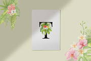 Tropical Elegance. Watercolors, a Decorative Illustration by Liliia Polos Illustration (Thumbnail 2 of 12)