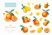 Citrus. Watercolor., a Decorative Illustration by Ekaterina Mikheeva (Thumbnail 2 of 6)