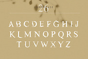 Flora | Modern Display Font, a Serif Font by Kandella's Art (Thumbnail 9 of 18)