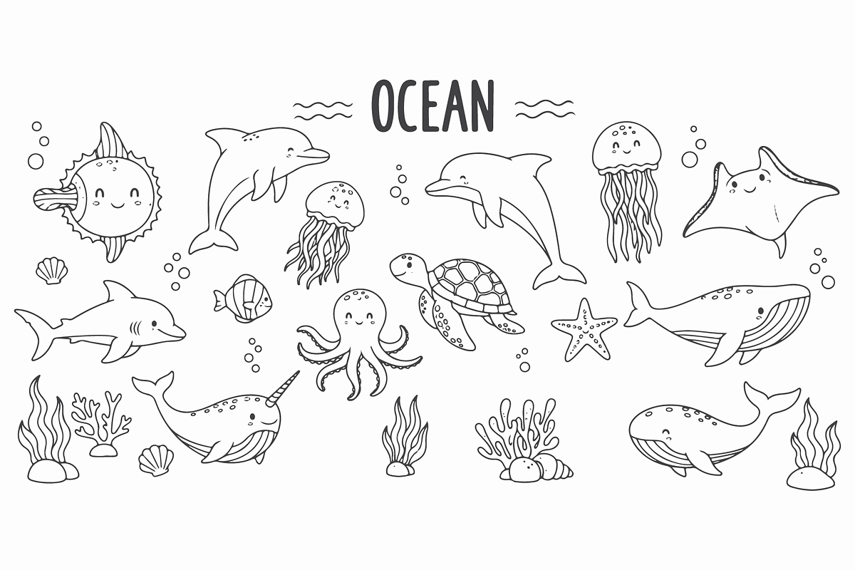Hand Drawn Ocean Animal Vector Set, a Decorative Illustration by MkStudio (Photo 2 of 2)