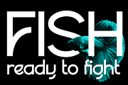 Paggoda, a Sans Serif Font by Haksen (Thumbnail 7 of 8)