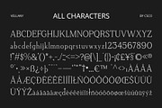 Vellany – Serif Typeface, a Serif Font by Craft Supply Co. (Thumbnail 8 of 8)
