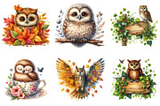 Watercolor Owl Clipart, an Illustration by DreamArtGraphic (Thumbnail 2 of 4)