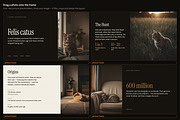 Understory Editorial Deck Template, a Presentation Template by Uno Creative Studio (Thumbnail 7 of 10)