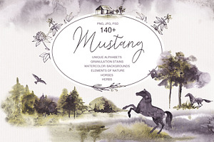 MUSTANG. Nature, herbs and horses.