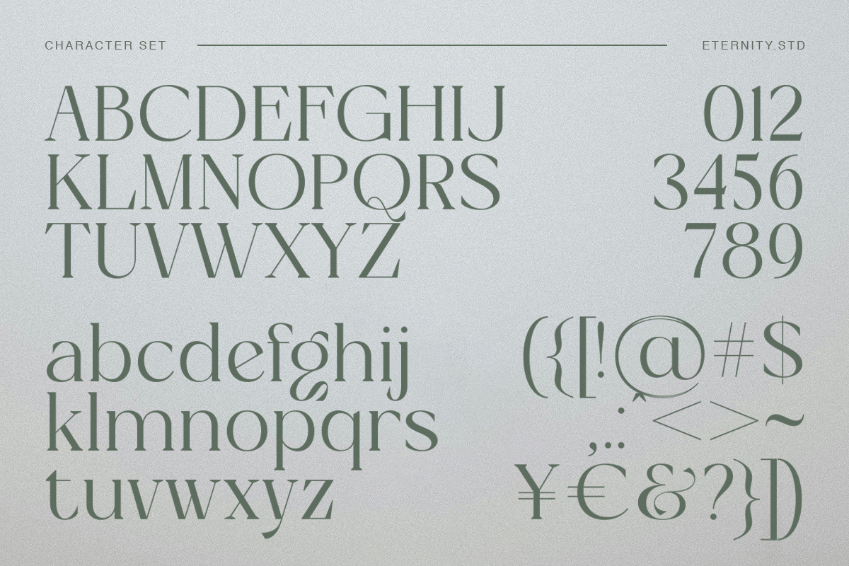 Bagien Modern Stylish Serif Font, a Serif Font by Eternity Studio (Photo 9 of 10)