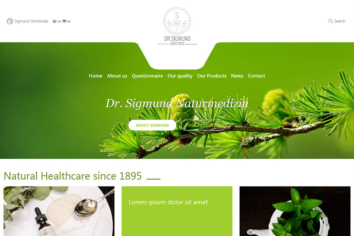 Dr. Sigmund - Wordpress Theme, a WordPress Template by inSTUDIO43 (Photo 1 of 6)