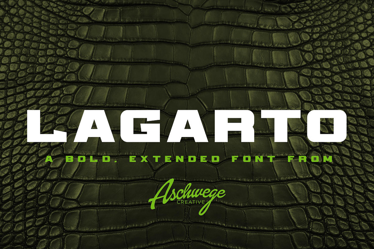 Lagarto, a Font by Aschwege Creative (Photo 1 of 5)
