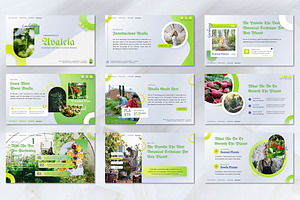 Avalla - Gardening Powerpoint