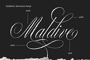 Premierre Marsiella | Font Duo, a Handwritten Font by Jolicia Type (Thumbnail 7 of 12)