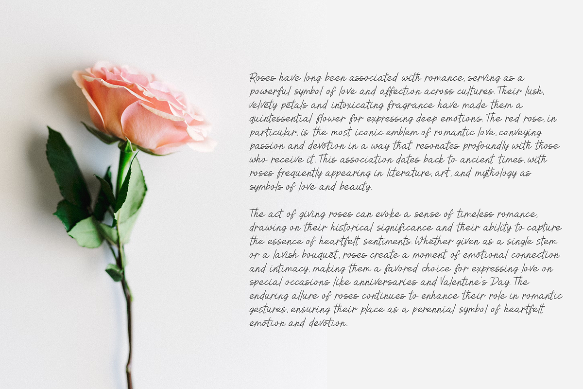 Kefi Script, a Script Font by ghozai studio (Photo 3 of 5)