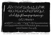 Julianne Script Typeface, a Script Font by MoonfishStudio (Thumbnail 2 of 4)