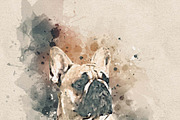 Watercolor Paint Art Effect Action, an Action Add-On by Photoshop Action (Thumbnail 4 of 9)