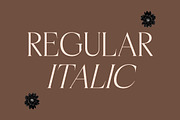 Casselin Modern Serif Font, a Serif Font by Letterena Studios (Thumbnail 7 of 15)