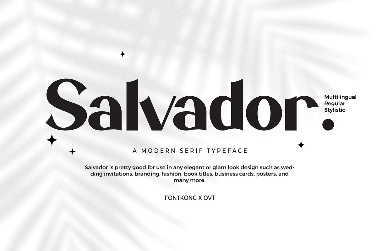 Salvador - Modern Serif Typeface, a Serif Font by overlaytemplates (Photo 1 of 5)