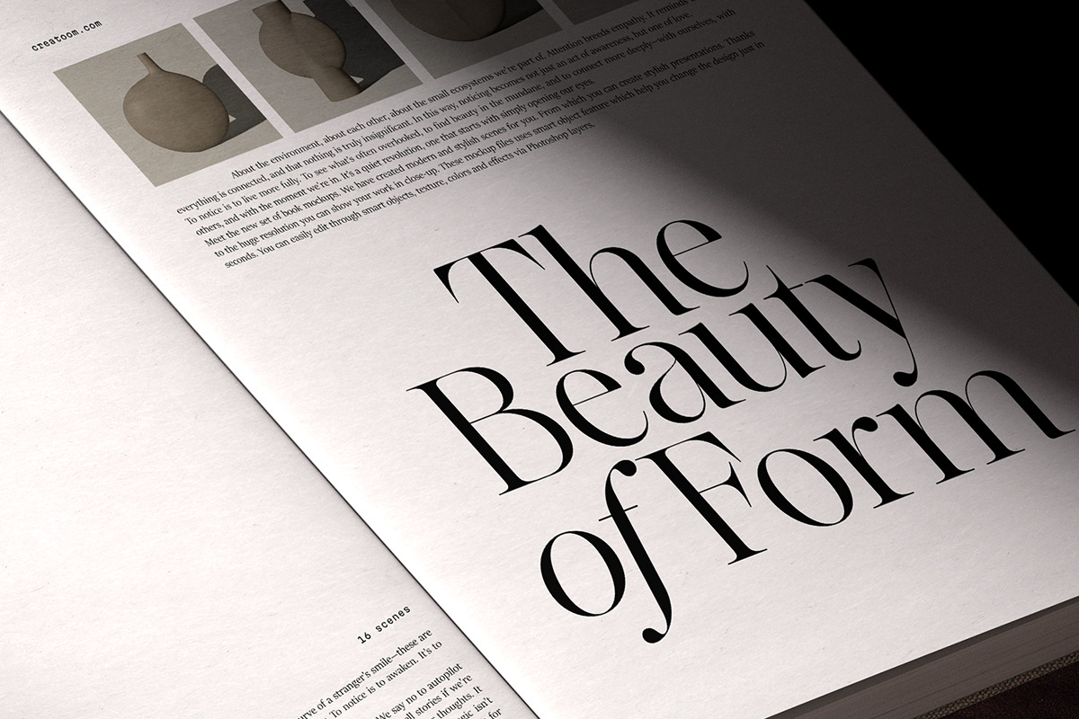 The Effolia | 9-Weight Classy Family, a Serif Font by Pista Mova (Photo 6 of 31)
