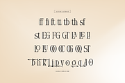 Arnnelo | Modern Display Serif, a Serif Font by gracetype_studio (Thumbnail 11 of 12)