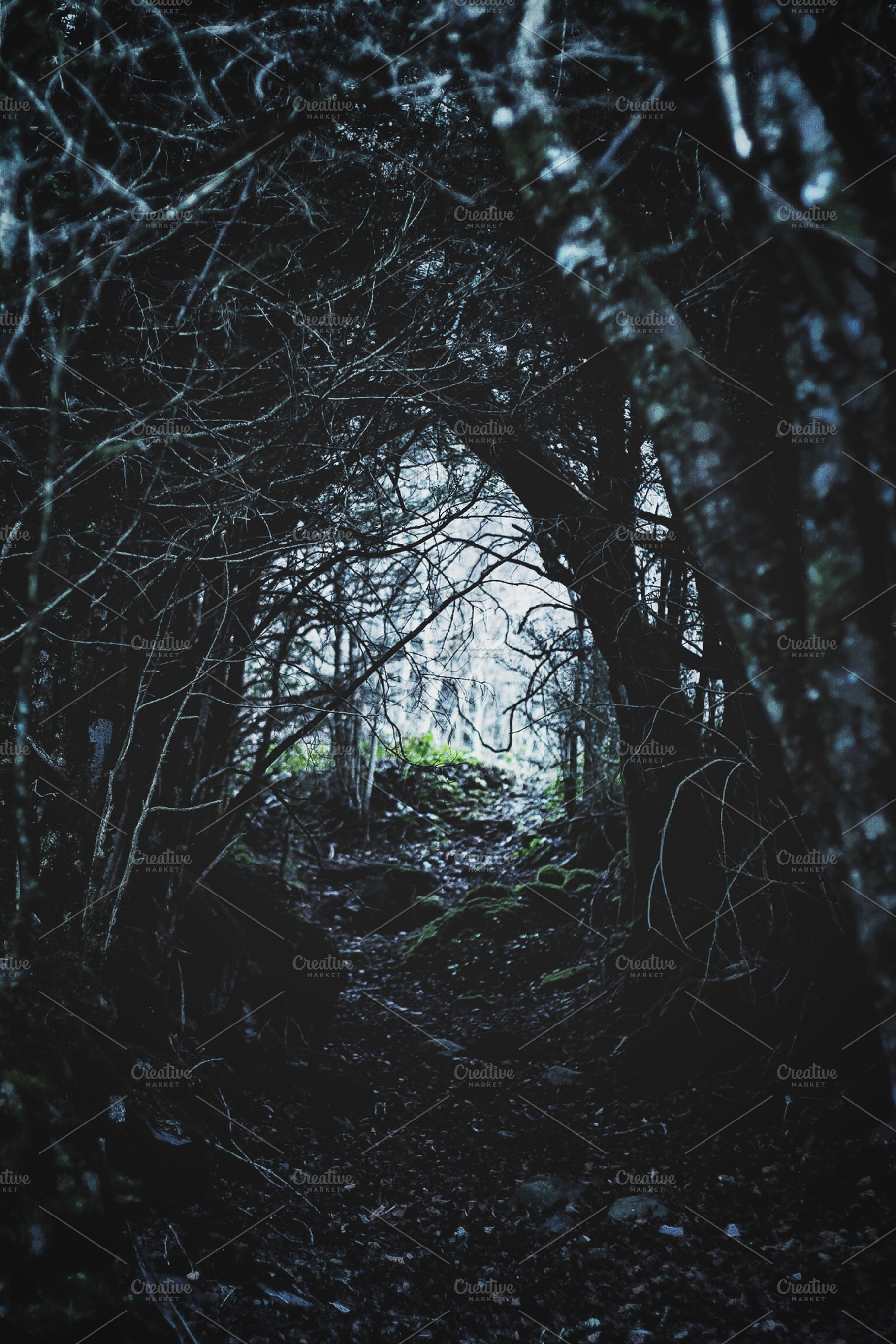 Dark stock photo containing photos and art, a Nature Photo by Marie Dumora