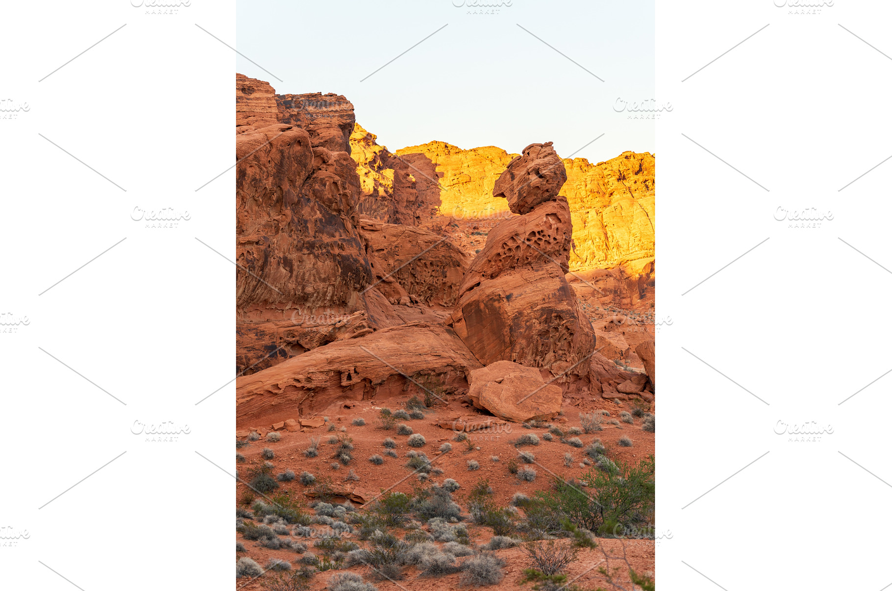 Dramatic aztec sandstone formation, an Animal Photo by Backyard Stock