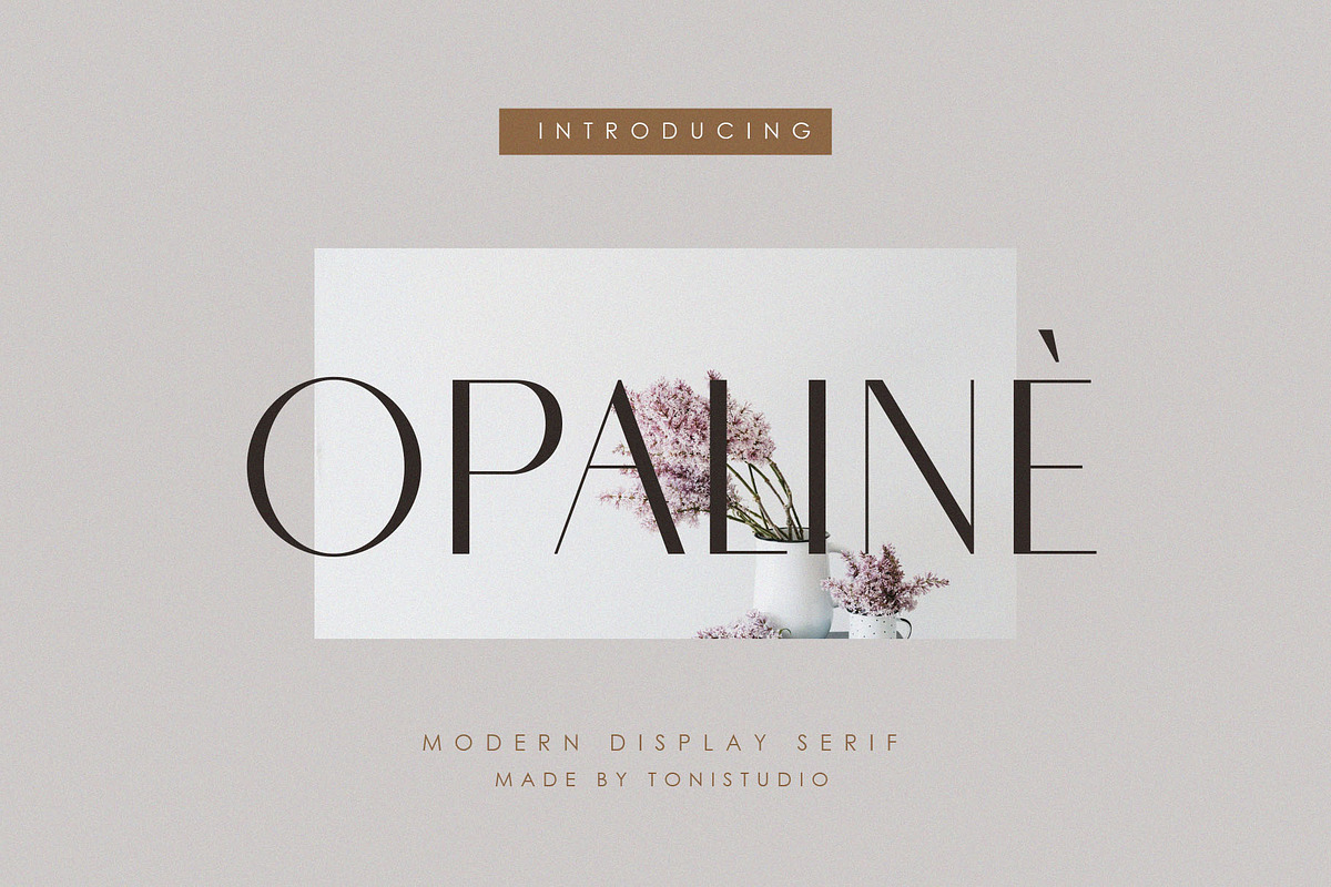 Opaline, a Sans Serif Font by ToniStudio (Photo 1 of 9)