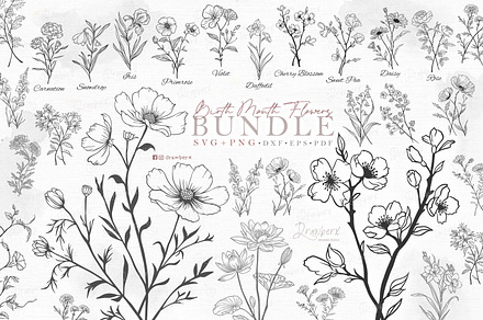 Birth Month flowers Svg, bundle 125, a Graphic by Drawberx