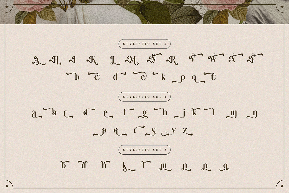 Wistle – Elegant Stylish Serif, a Serif Font by Almeera Std (Photo 10 of 10)
