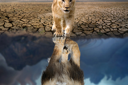 Lion cub looking the reflection of an adult lion in the water, a Background Photo by Byrdyak