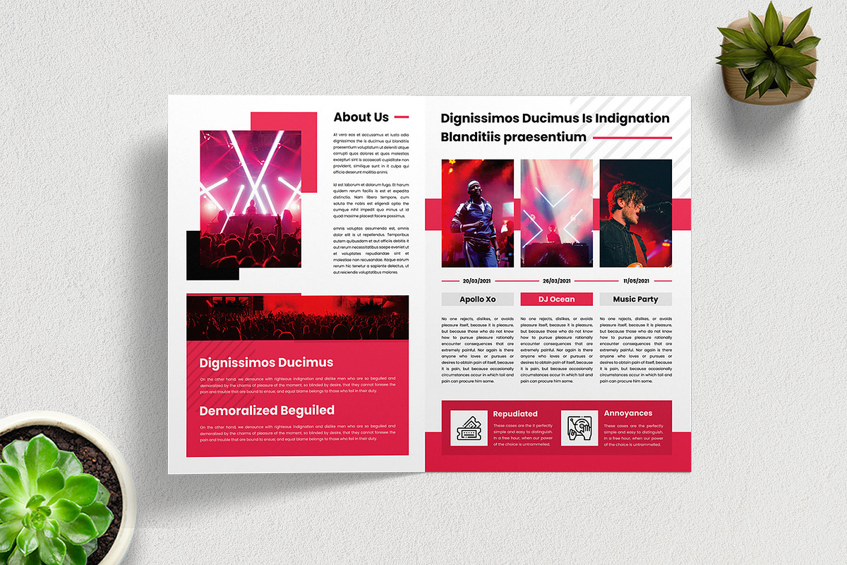 Brochure Bifold - Dugem 1, a Brochure Template by Themes Awesome (Photo 3 of 5)