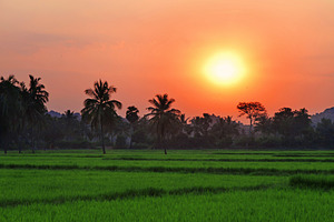 Red sunset, India, a Photo by saiko3p