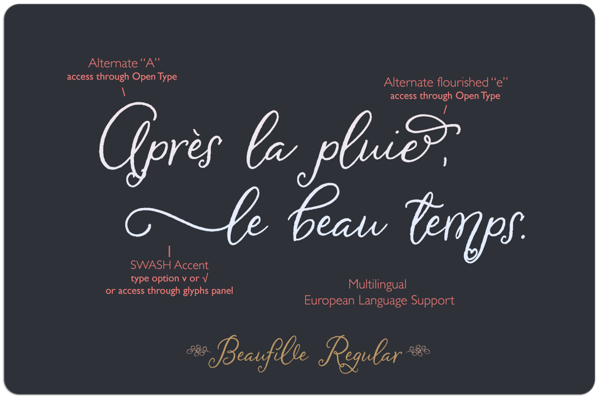 Beaufille Script, a Script Font by KLUGE+CO