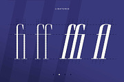 Brozeri - Casual Serif Family, a Serif Font by Arterfak Project (Thumbnail 14 of 14)