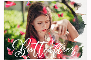 Butterfly PNG photoshop overlays