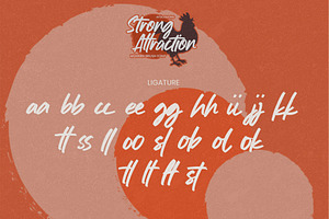 Strong Attraction -Modern Brush Font