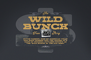 Zorro Font Duo, a Slab Serif Font by DonMarciano (Thumbnail 4 of 5)