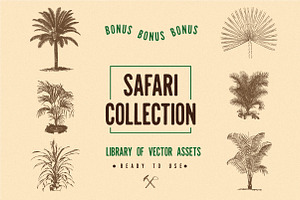 Trippy Safari Font & Illustrations