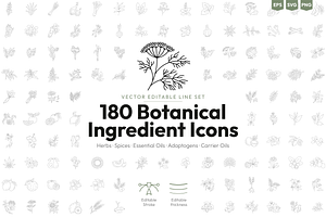 180 Botanical Ingredient Line Icons, an Outline Icon by Ilia Design