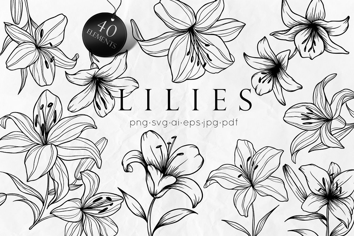 Lily Flowers Line Art SVG, an Object Graphic by Dervik Art Store (Photo 1 of 8)