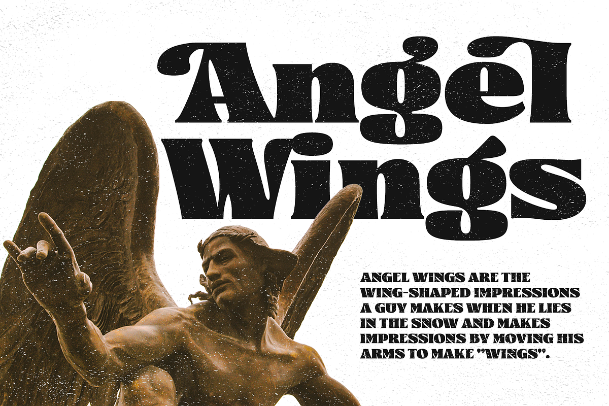 Largest Display Fonts, a Serif Font by 50Fox (Photo 14 of 18)