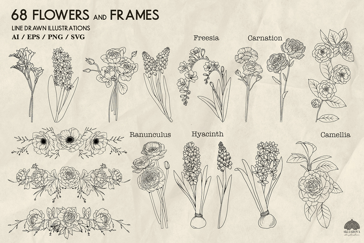 Flower Garden Line Art + Procreate, a Decorative Illustration by Skliarova (Photo 5 of 5)