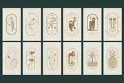 Tropical Logos and Patterns, a Branding & Logo Template by Polar Vectors (Thumbnail 15 of 16)
