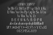 Eghafin || Elegant Serif Font, a Serif Font by Ermedia Studio (Thumbnail 10 of 10)