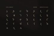 Wesider Elegant Serif Font, a Serif Font by Perfectype (Thumbnail 8 of 8)