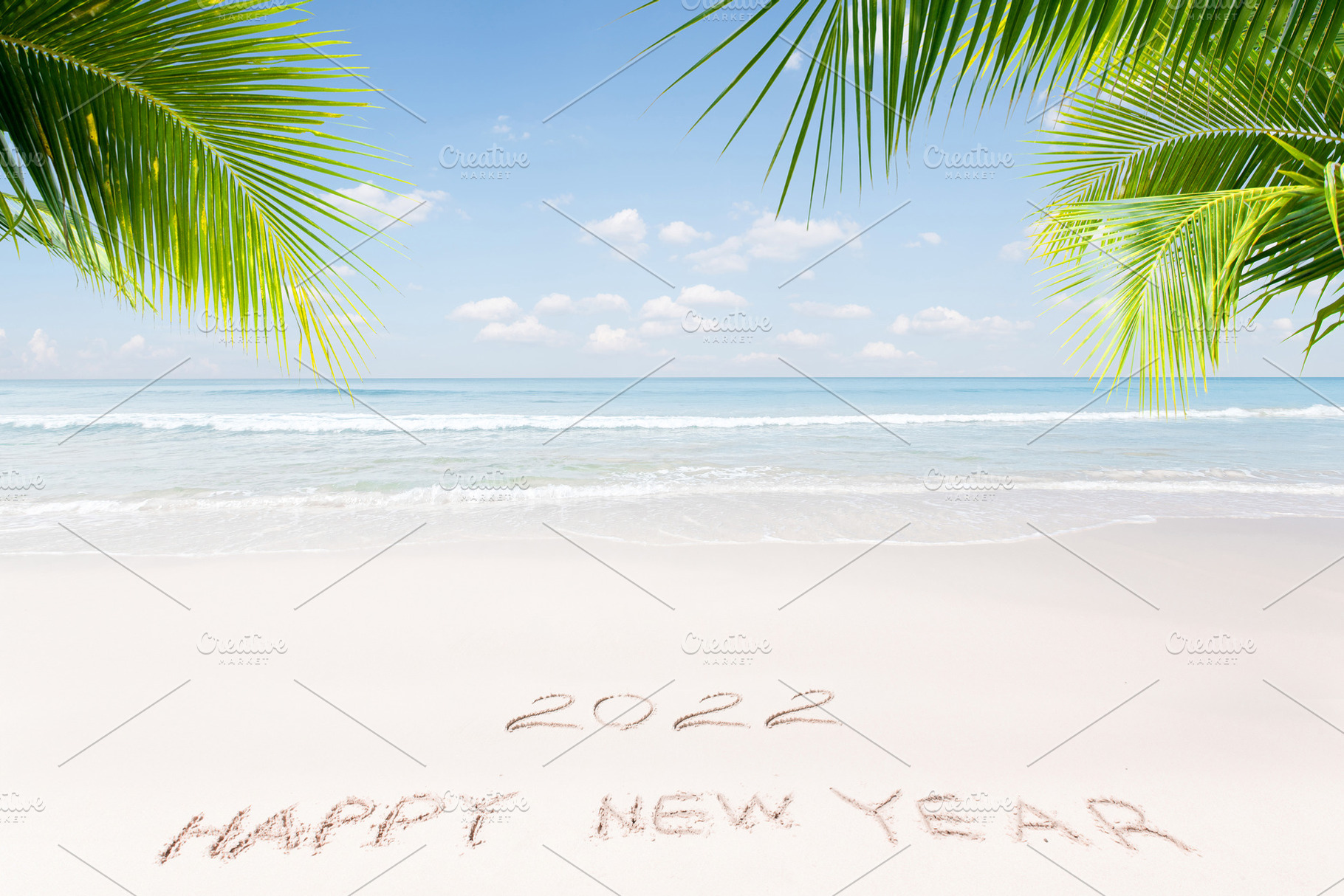 new year palms, a Photo by dmitryersler