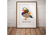 Duck set vector, an Object Illustration by Sweet_print (Thumbnail 2 of 2)