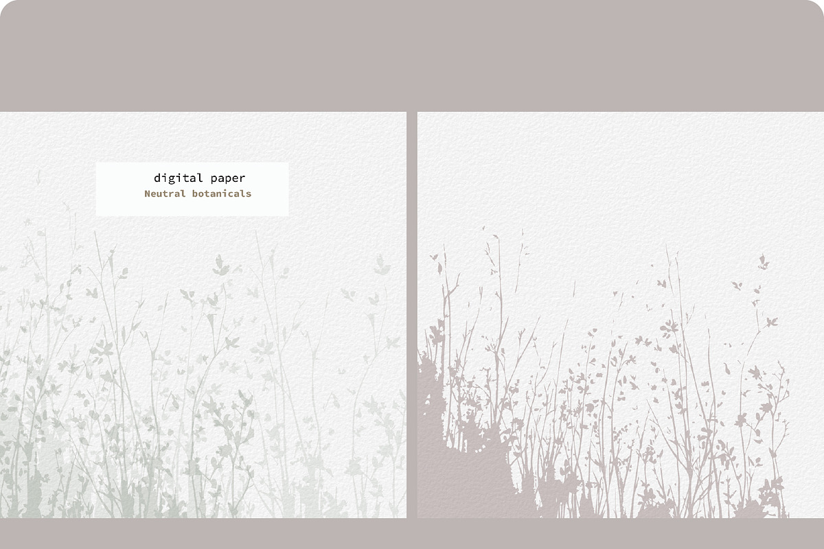 Neutral Botanical Backgrounds, a Background Graphic by Anna Sokol (Photo 6 of 10)