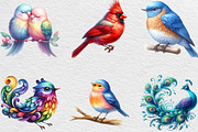 Watercolor Bird Clipart, an Illustration by Black Bird Studio (Thumbnail 4 of 6)